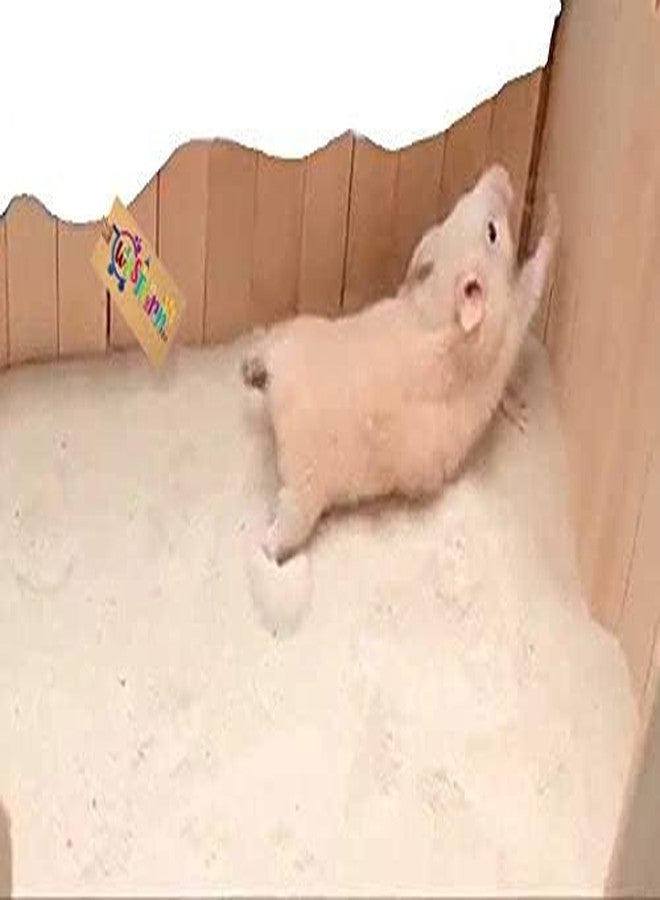 Western Era Dust Free Hamster Bath Sand, Ultimate Bathing & Bedding Solution, Tiny Paws, Fresh Play for Hamster, Gerbil (500grm) (Lemon) - Image 1